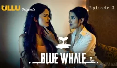 Blue Whale Episode 3