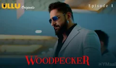 Woodpecker Episode 1