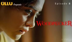 Woodpecker Episode 8